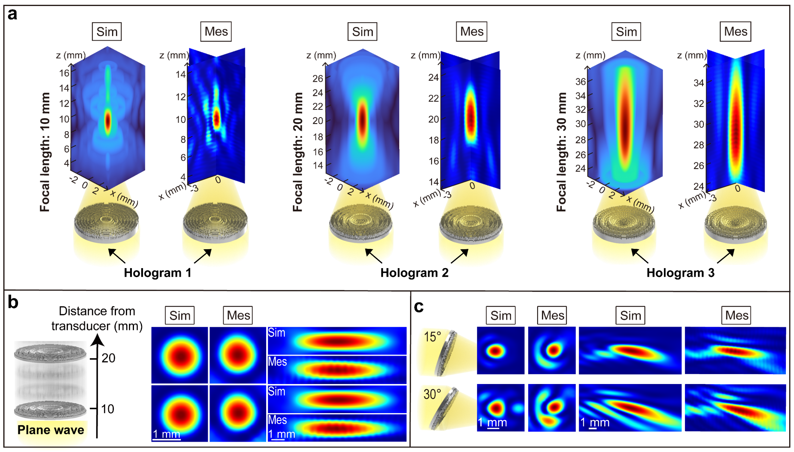 生医工学院程冰冰课题组探索基于声学全息超表面的聚焦超声多靶点血脑屏障同步开放新技术